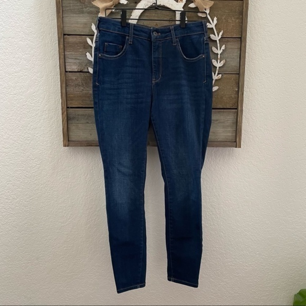Anthropologie Pilcro high rise dark wash denim skinny jeans‎ 31